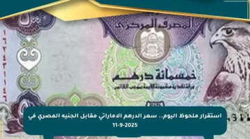استقرار ملحوظ اليوم.. سعر الدرهم الإماراتي مقابل الجنيه المصري في 11-9-2025